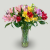 Alstroemeria Bouquet